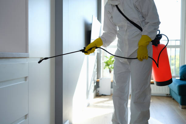 Best Commercial Mold Removal  in Kingsland, TX